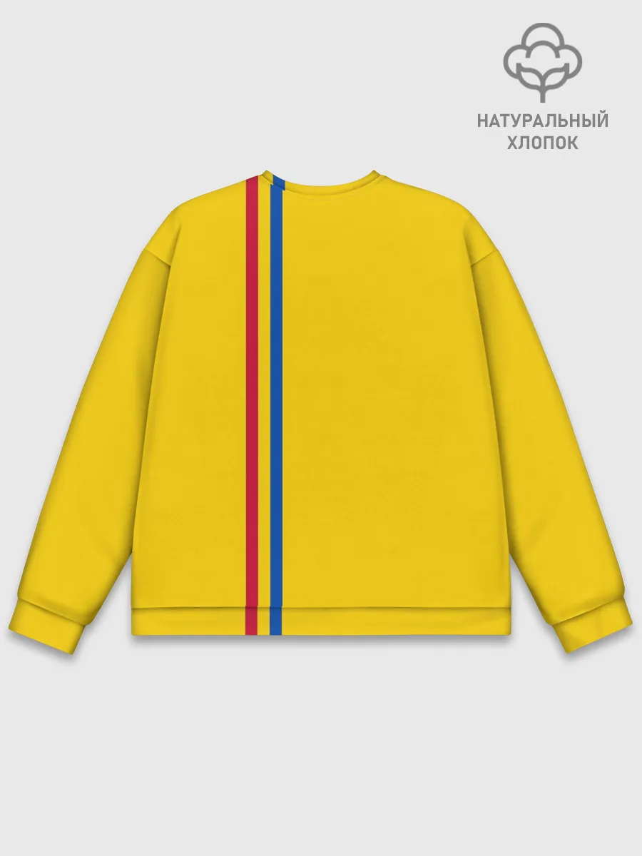 Мужской свитшот базовый / Молдавия, лента с гербом