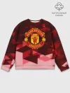 Мужской свитшот базовый / Manchester United Abstract