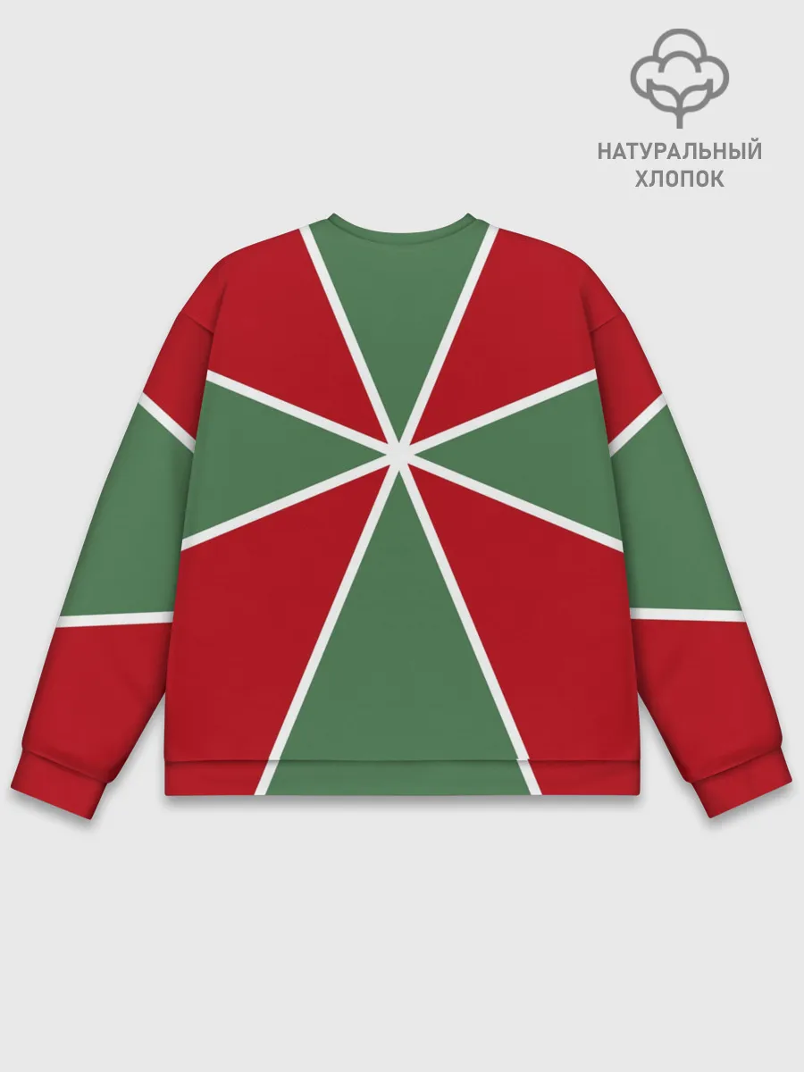 Мужской свитшот базовый / 100 лет пограничных войск