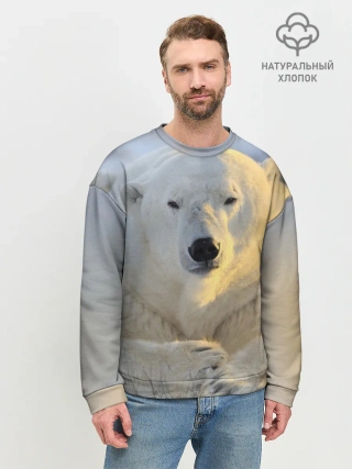 Мужской свитшот базовый / Медведь