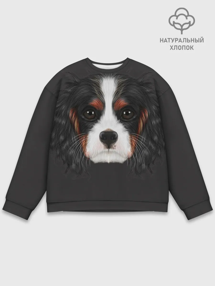 Мужской свитшот базовый / Cavalier King Charles