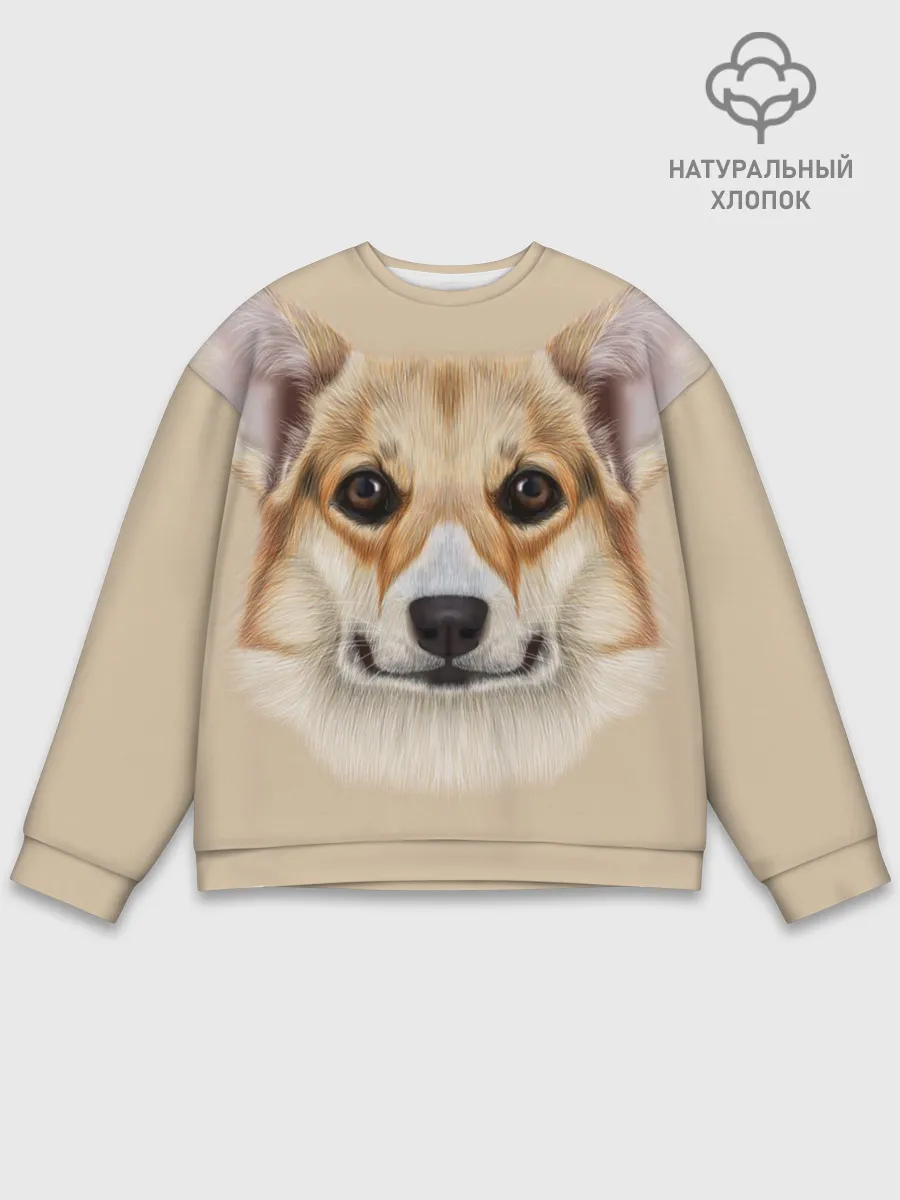 Мужской свитшот базовый / Pembroke