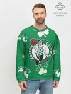 Мужской свитшот базовый / Boston celtics, nba