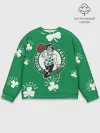 Мужской свитшот базовый / Boston celtics, nba