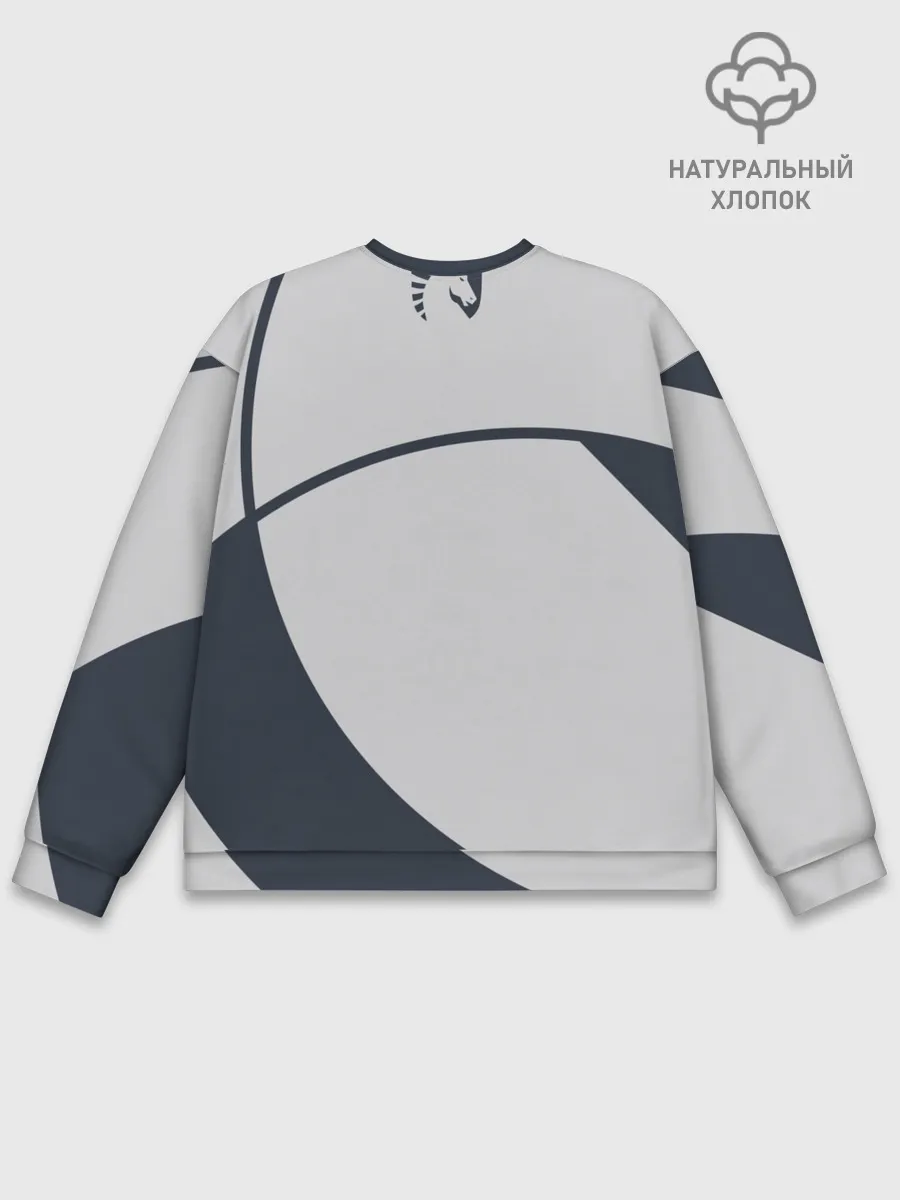 Мужской свитшот базовый / Liquid - The Form