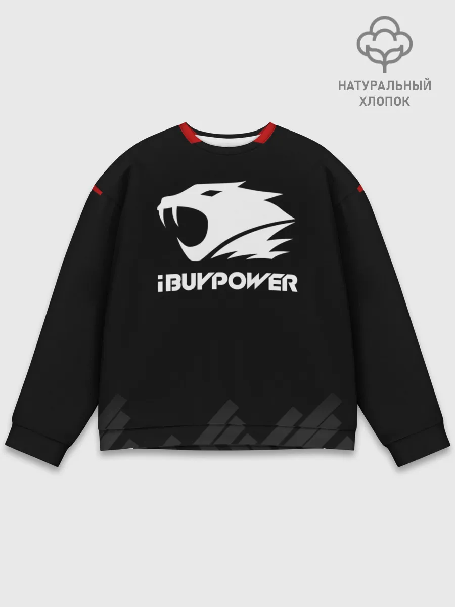 Мужской свитшот базовый / iBuyPower | The Form