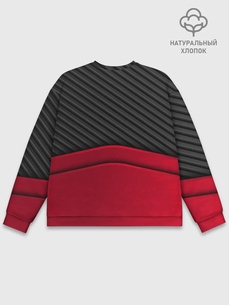 Мужской свитшот базовый / LEXUS