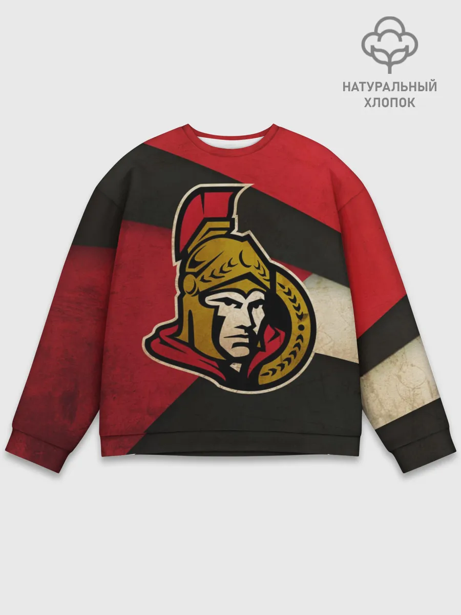 Мужской свитшот базовый / Оттава