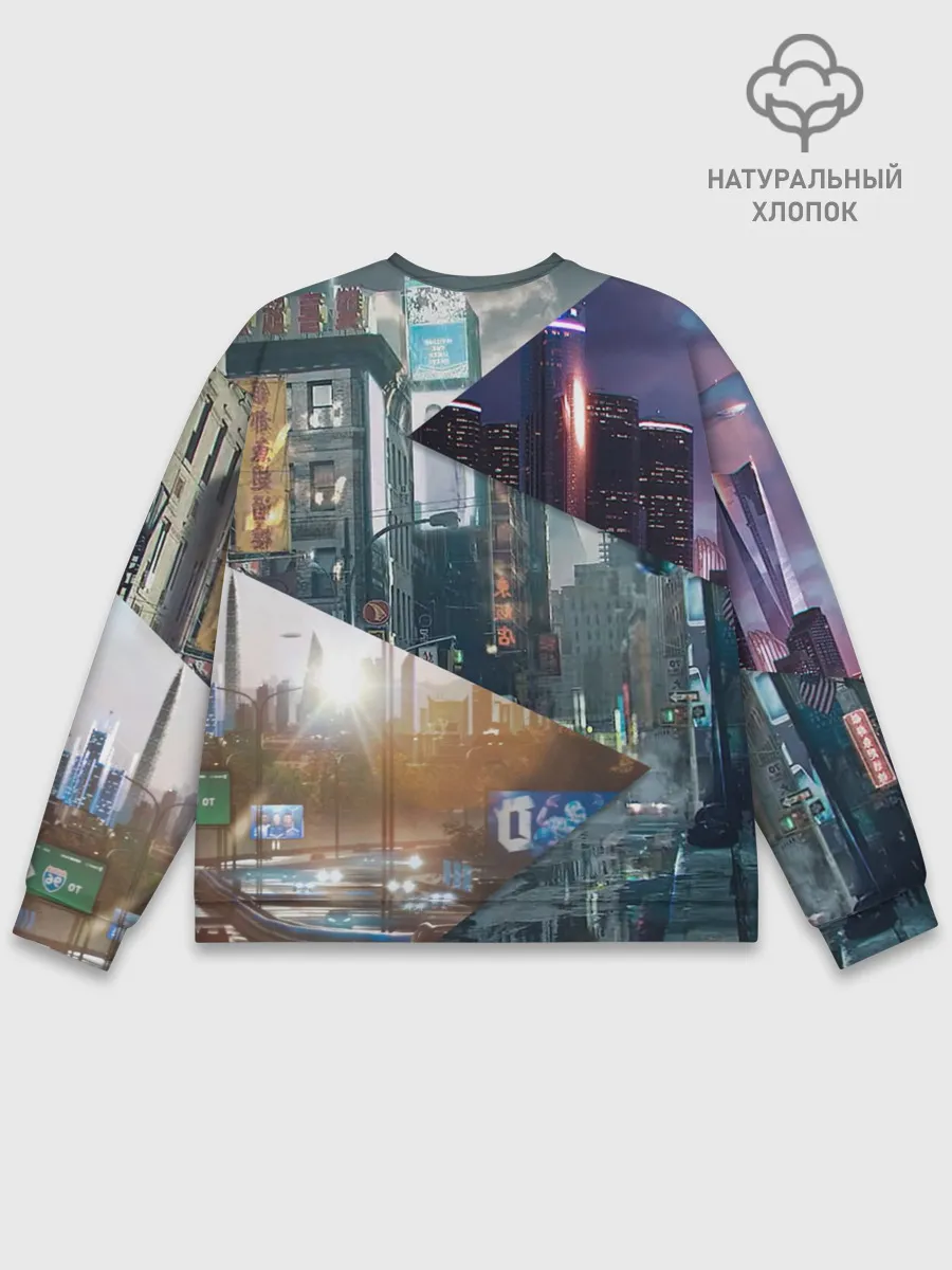 Мужской свитшот базовый / Detroit: Become Human