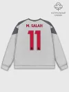 Мужской свитшот базовый / Salah alternative 18-19