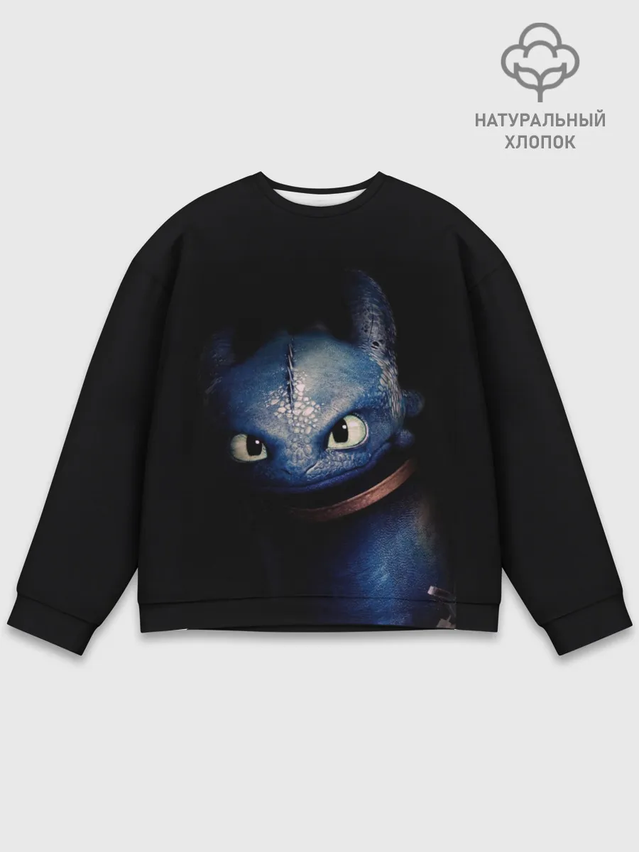Мужской свитшот базовый / как приручить дракона