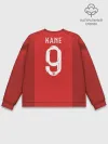 Мужской свитшот базовый / Kane away WC 2018