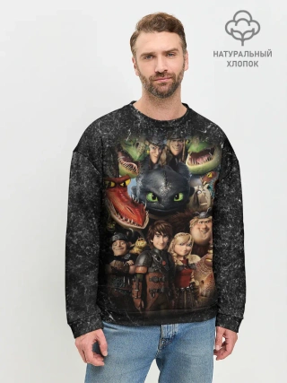 Мужской свитшот базовый / Как приручить дракона