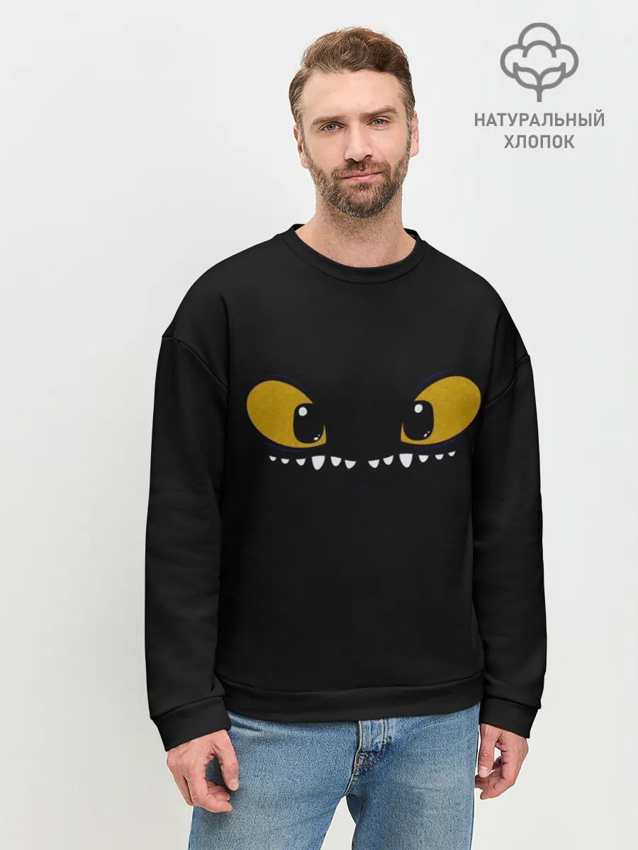 Мужской свитшот базовый / как приручить дракона
