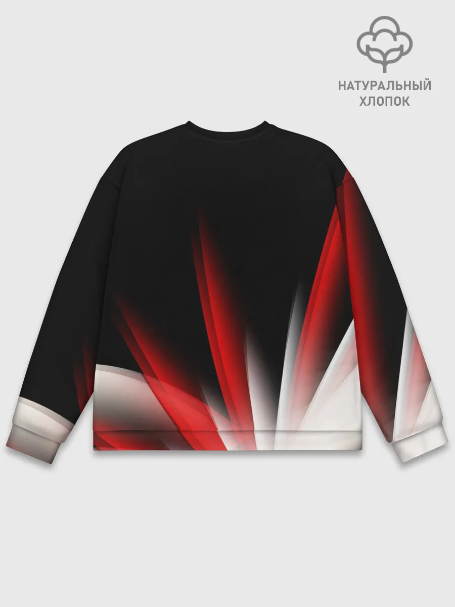 Мужской свитшот базовый / Russia sport collection