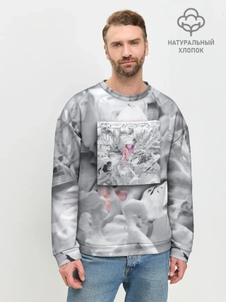 Мужской свитшот базовый / Boulevard Depo RAPP2