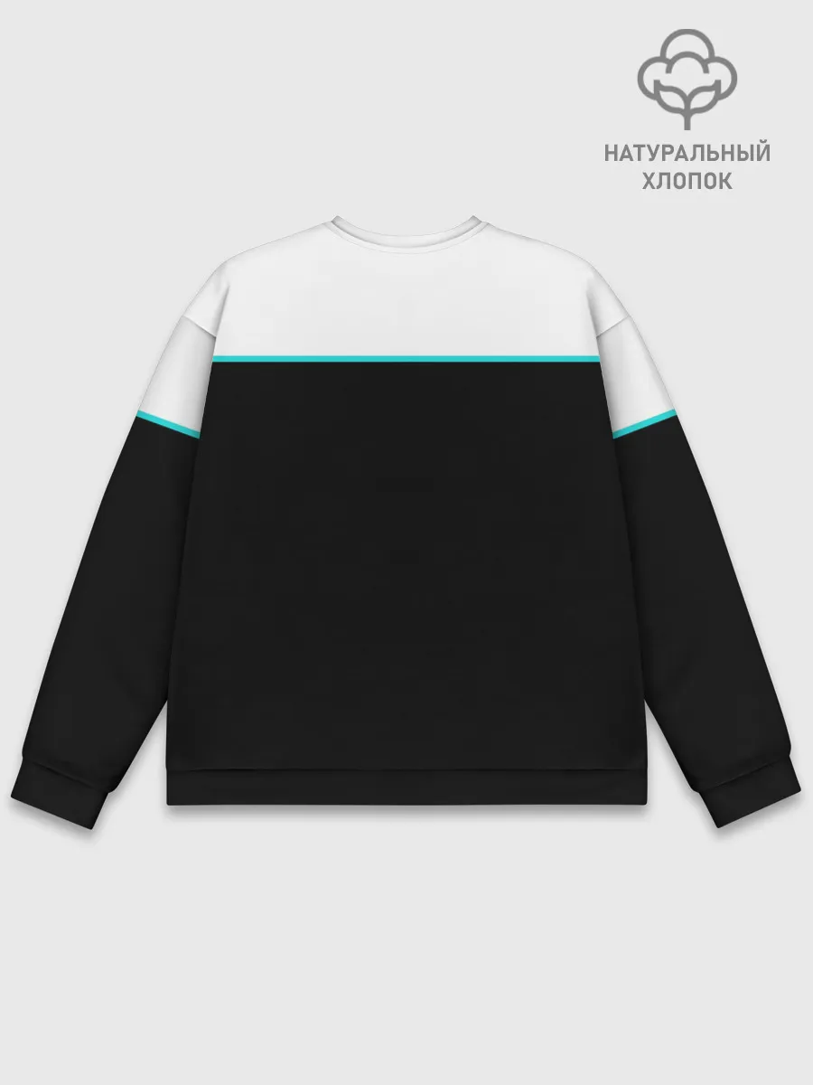 Мужской свитшот базовый / Detroit RK800