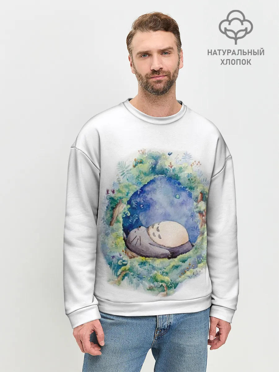 Мужской свитшот базовый / Тоторо спит