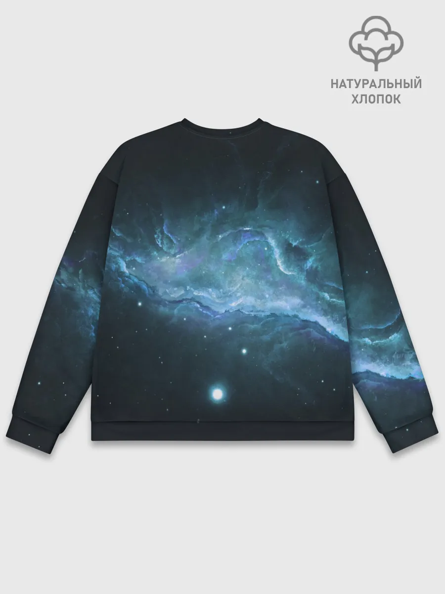 Мужской свитшот базовый / NASA