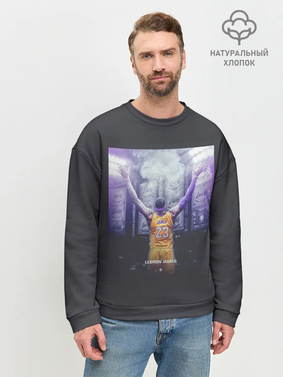 Мужской свитшот базовый / Lebron