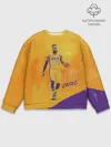 Мужской свитшот базовый / Lebron