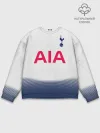 Мужской свитшот базовый / Tottenham home 18-19