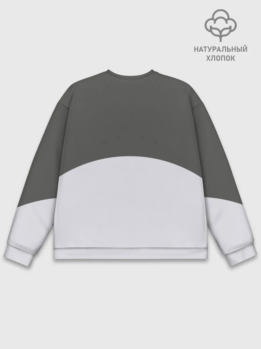 Мужской свитшот базовый / Большой Тоторо