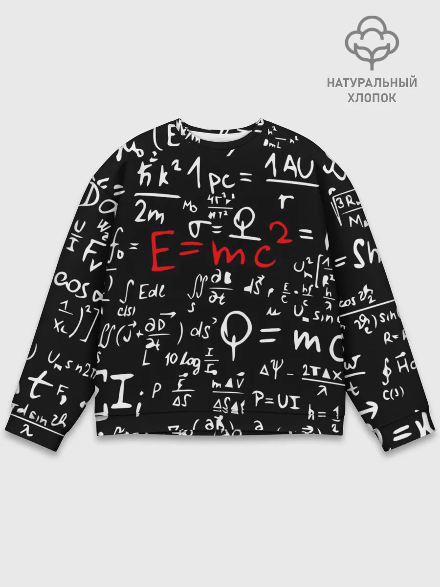 Мужской свитшот базовый / ФОРМУЛЫ ФИЗИКА
