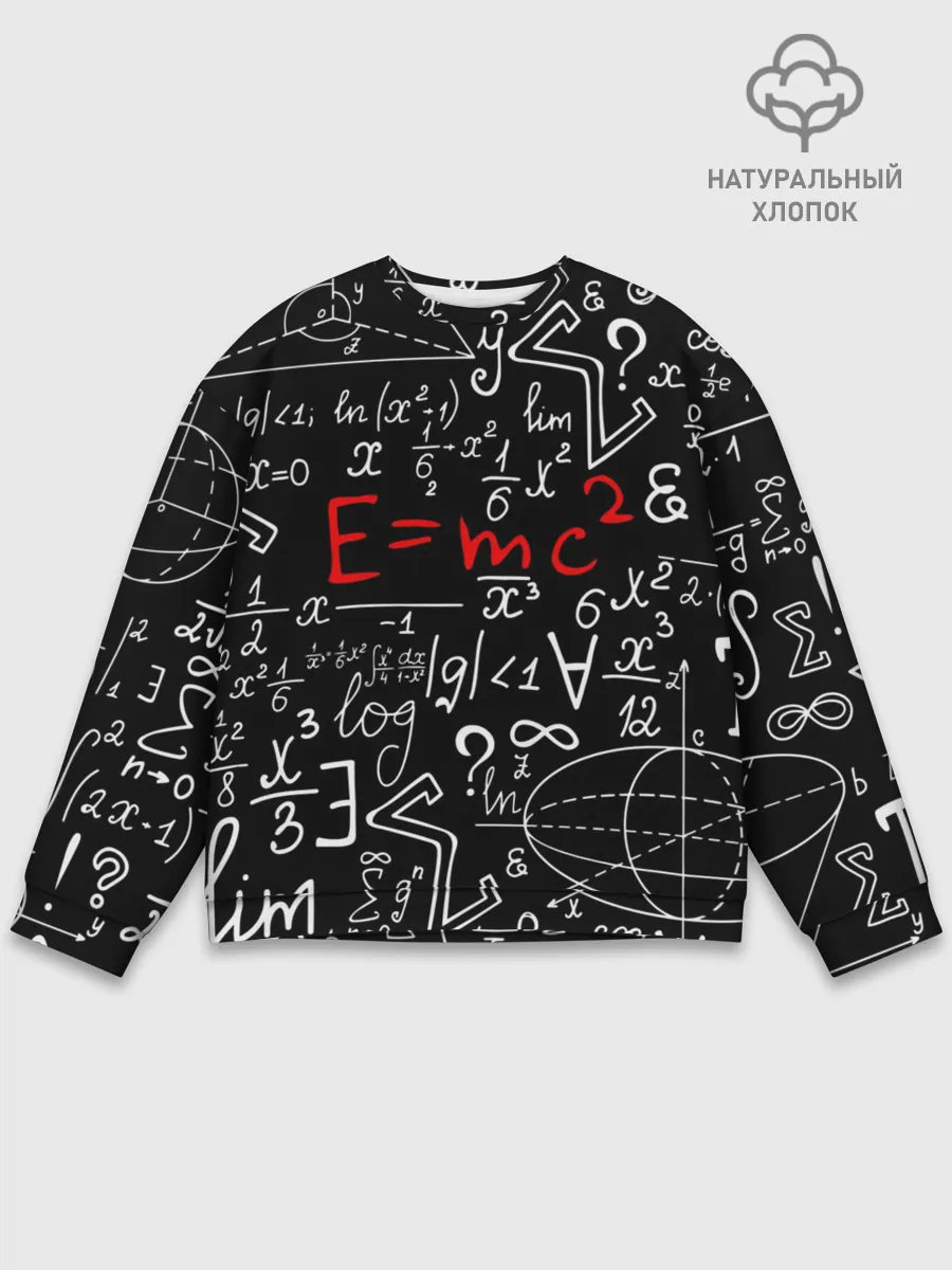 Мужской свитшот базовый / ФОРМУЛЫ ФИЗИКА