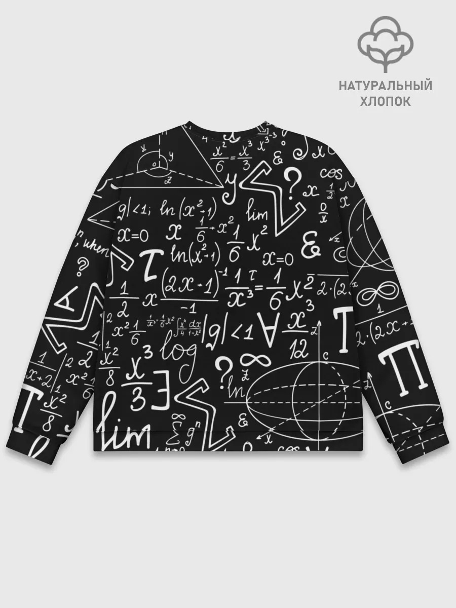 Мужской свитшот базовый / ФОРМУЛЫ ФИЗИКА