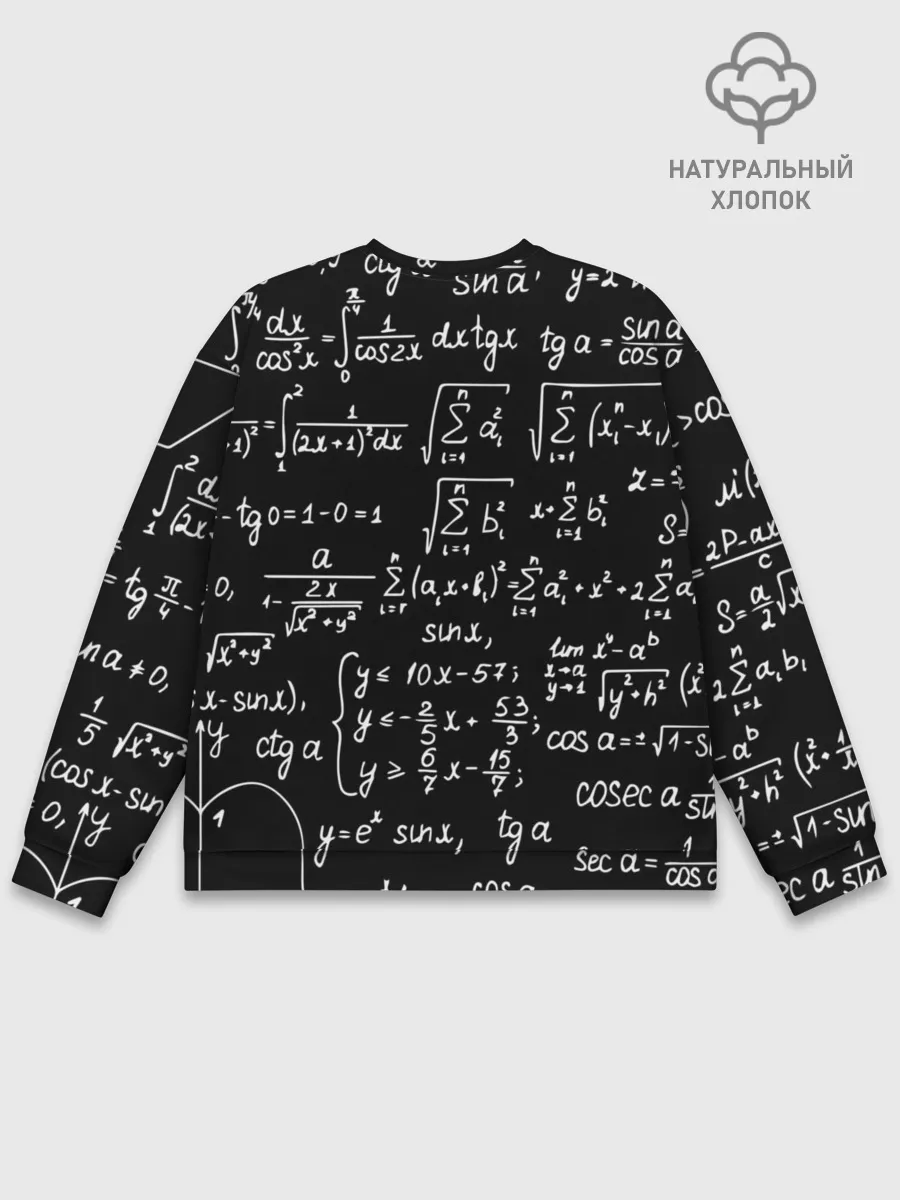 Мужской свитшот базовый / ФОРМУЛЫ АЛГЕБРА