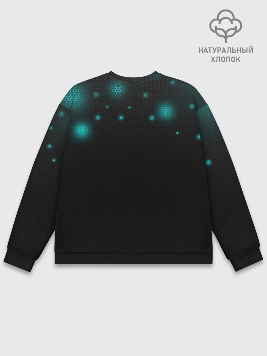 Мужской свитшот базовый / The 100