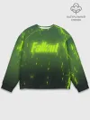Мужской свитшот базовый / FALLOUT RADSTORM
