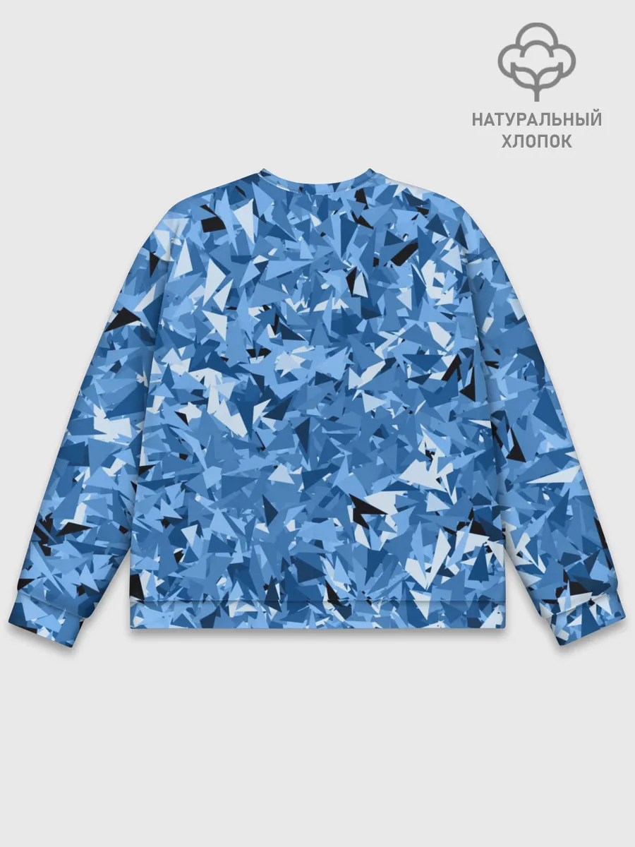 Мужской свитшот базовый / Сине-бело-голубой лев