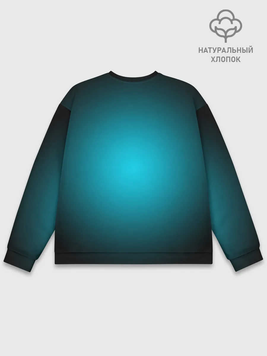 Мужской свитшот базовый / QUANTUM JONES SODA