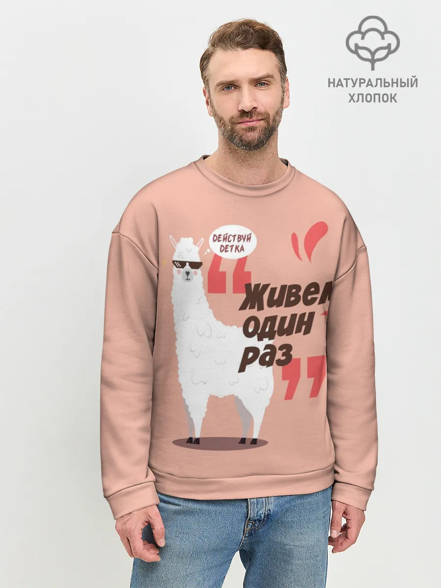 Мужской свитшот базовый / Действуй детка