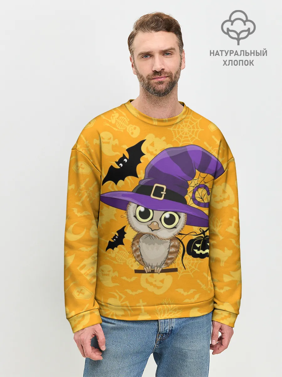 Мужской свитшот базовый / Совушка и хэллоуин