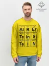 Мужской свитшот базовый / Альберт Эйнштейн
