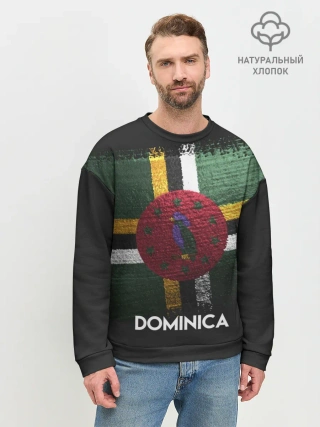 Мужской свитшот базовый / DOMINICA