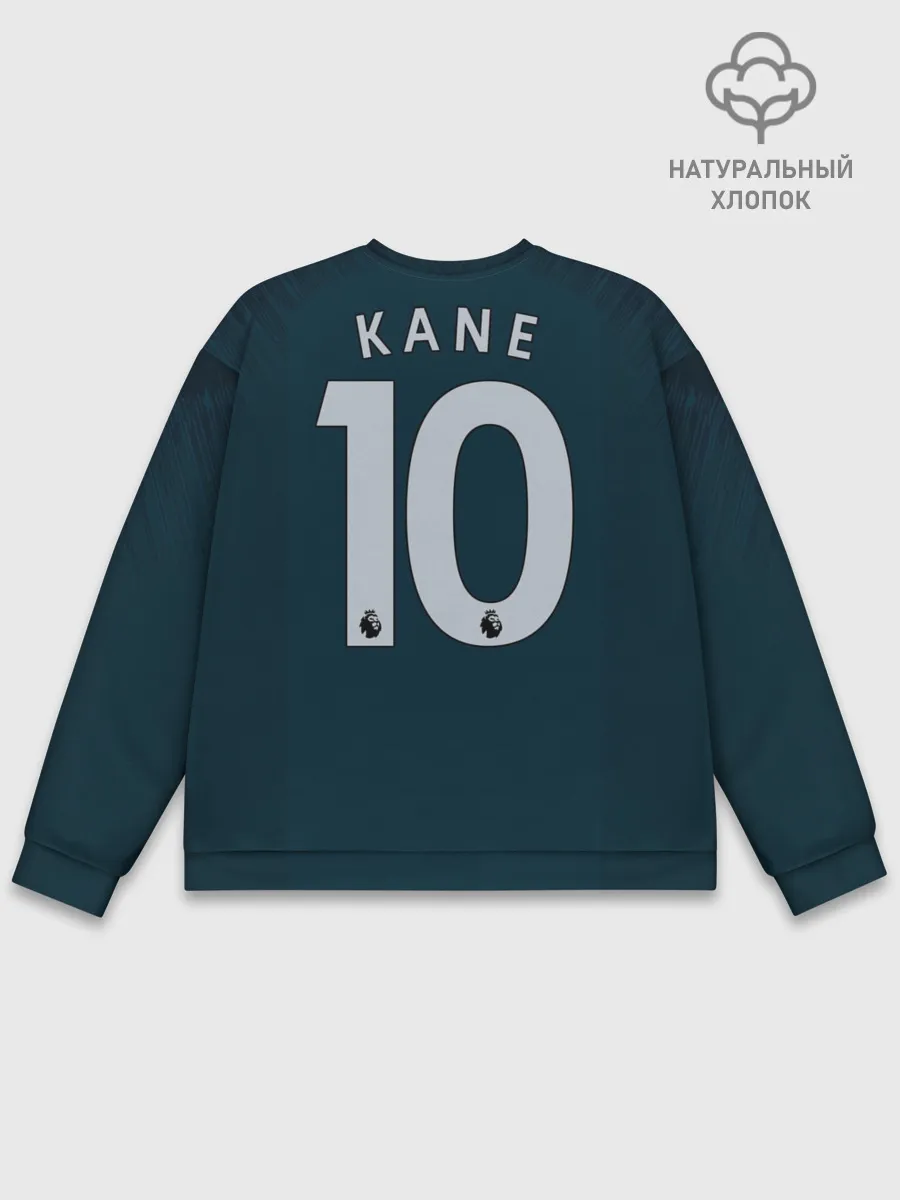 Мужской свитшот базовый / Kane alternative 18-19