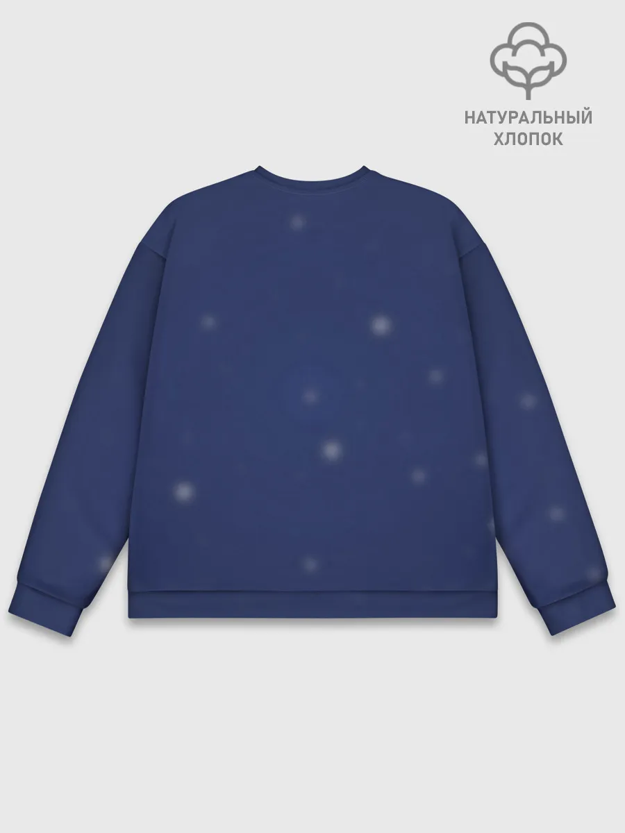 Мужской свитшот базовый / Ночной Котик