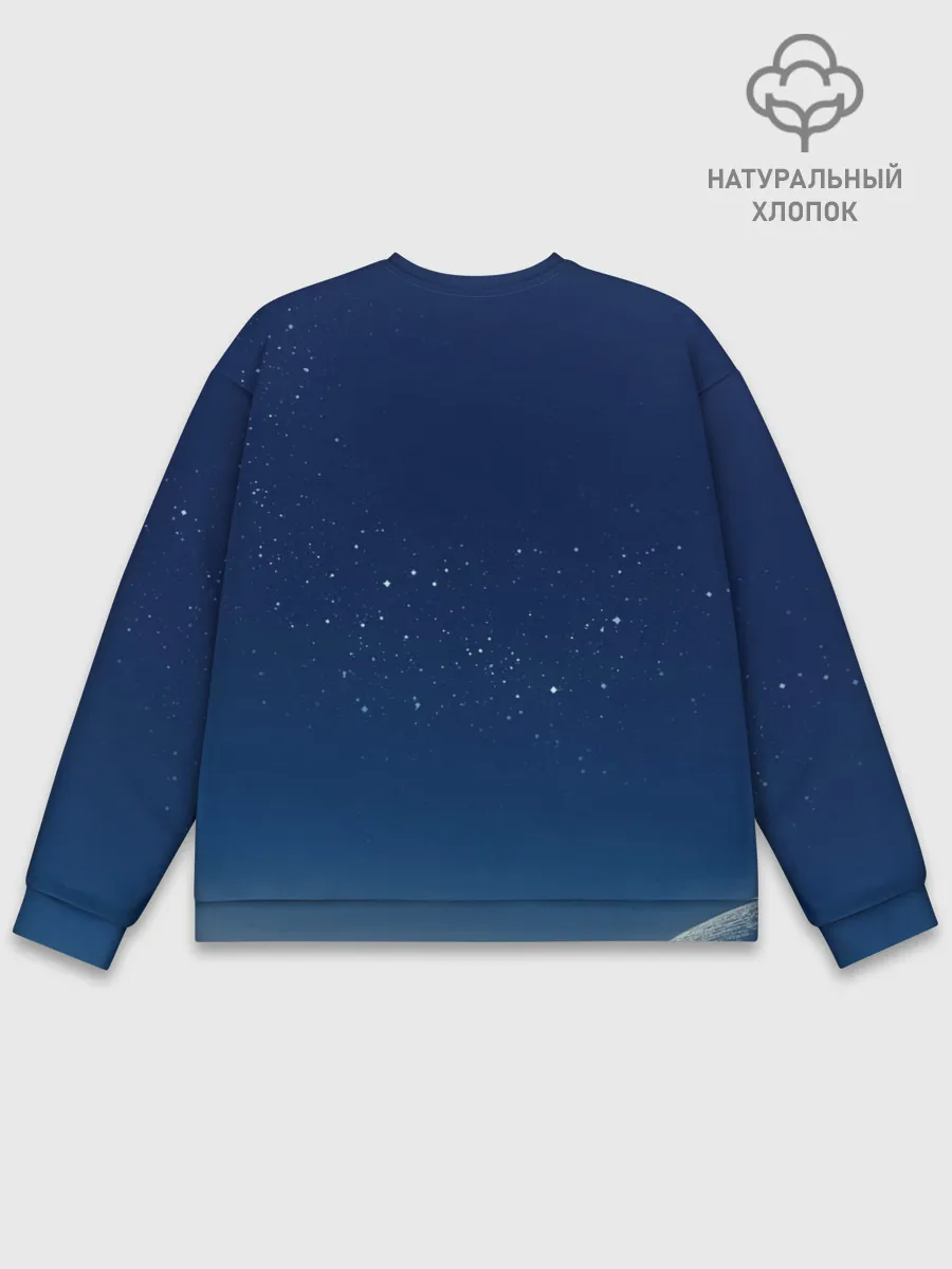 Мужской свитшот базовый / NASA