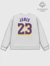Мужской свитшот базовый / James 18-19 third LA Lakers