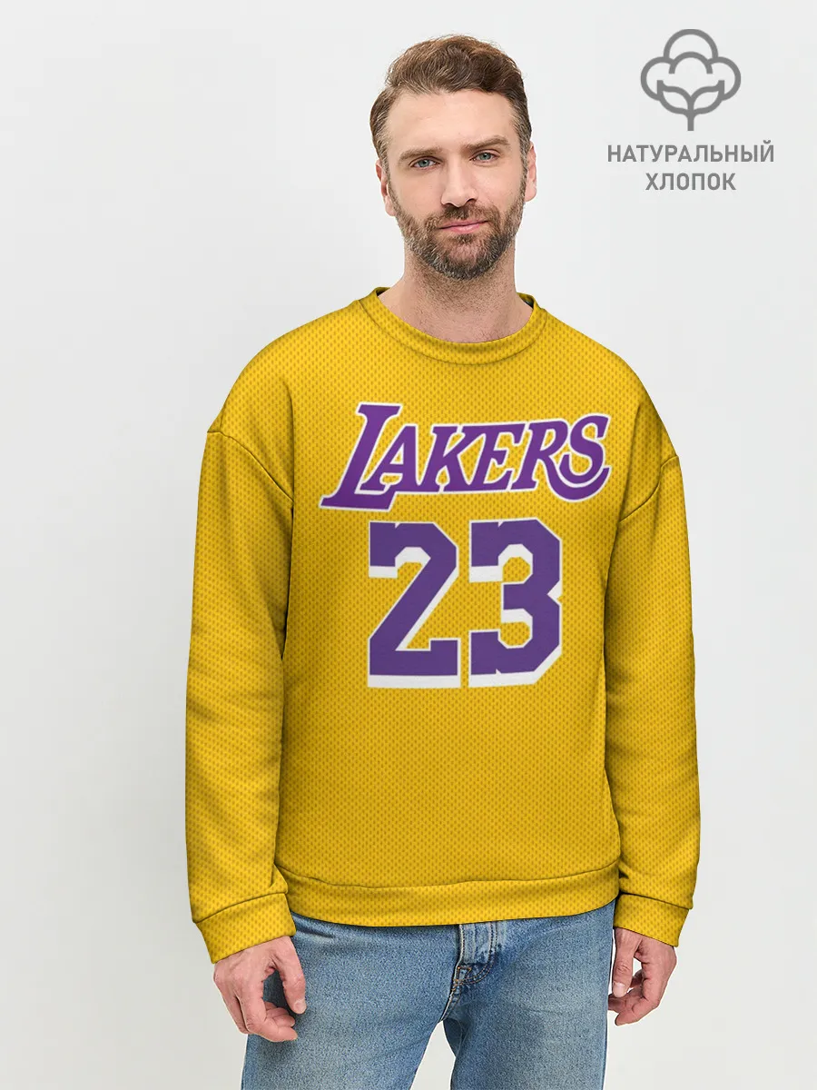 Мужской свитшот базовый / James 18-19 LA Lakers home