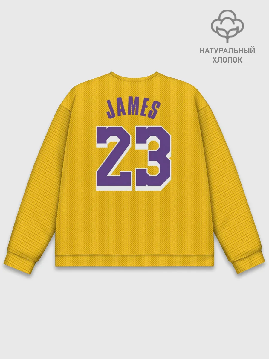 Мужской свитшот базовый / James 18-19 LA Lakers home