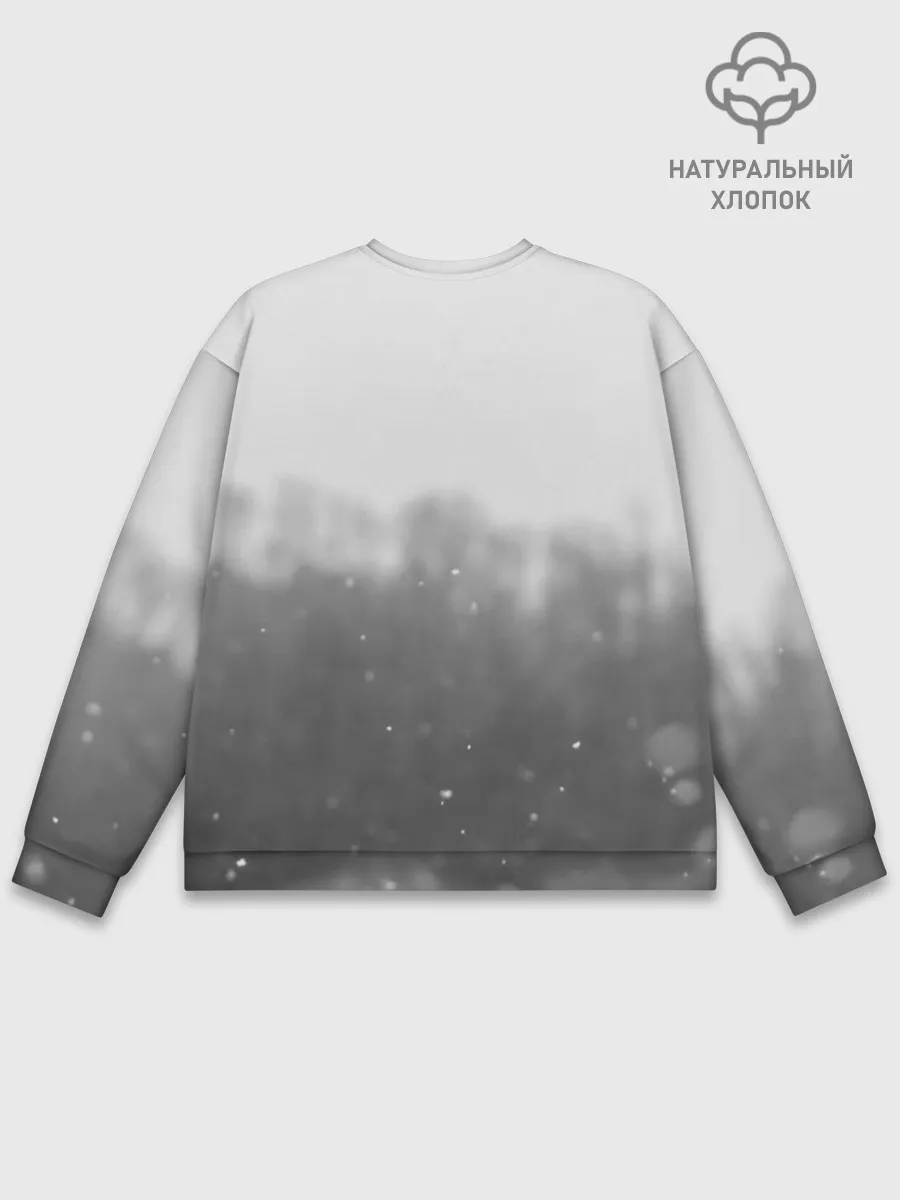 Мужской свитшот базовый / METRO WINTER