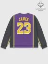 Мужской свитшот базовый / James LA Lakers 2019