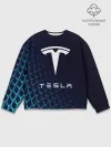 Мужской свитшот базовый / Tesla Motors