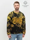 Мужской свитшот базовый / PUBG