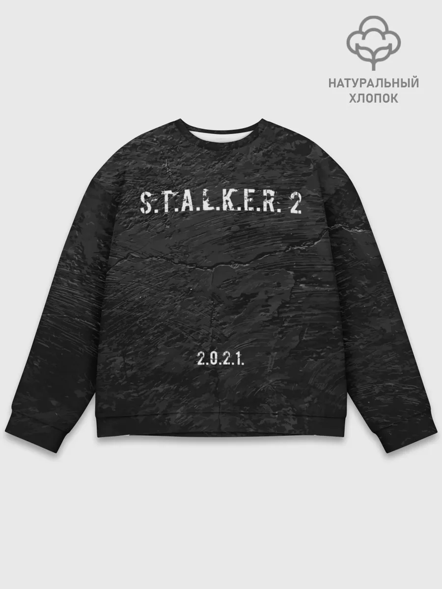 Мужской свитшот базовый / STALKER 2